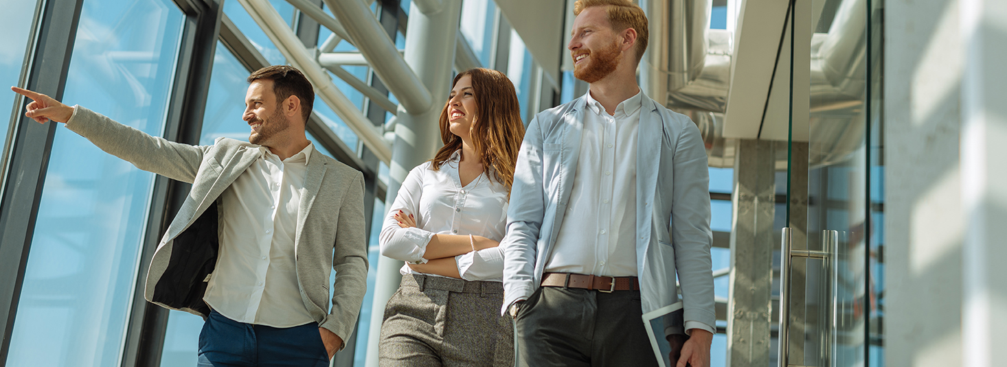 Intrapreneurship