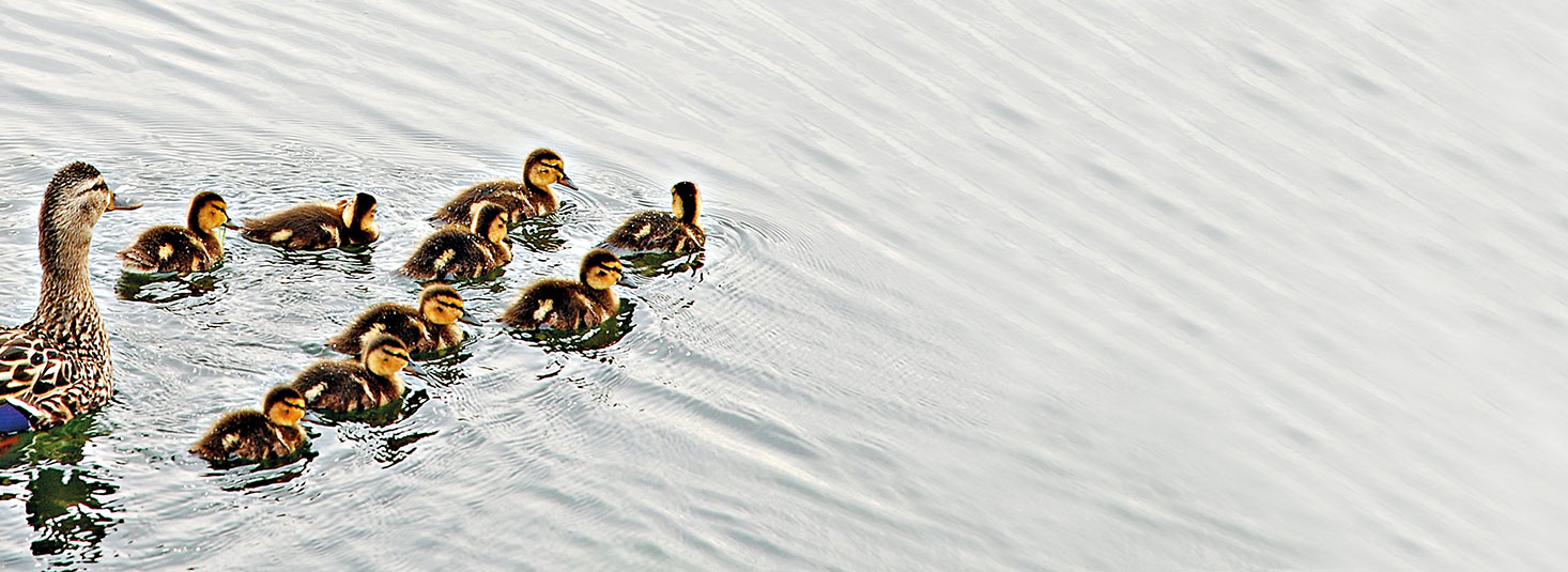 Junior-Führungs-Lehrgang