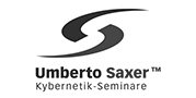 Logo https://www.verkaufskybernetik.com/