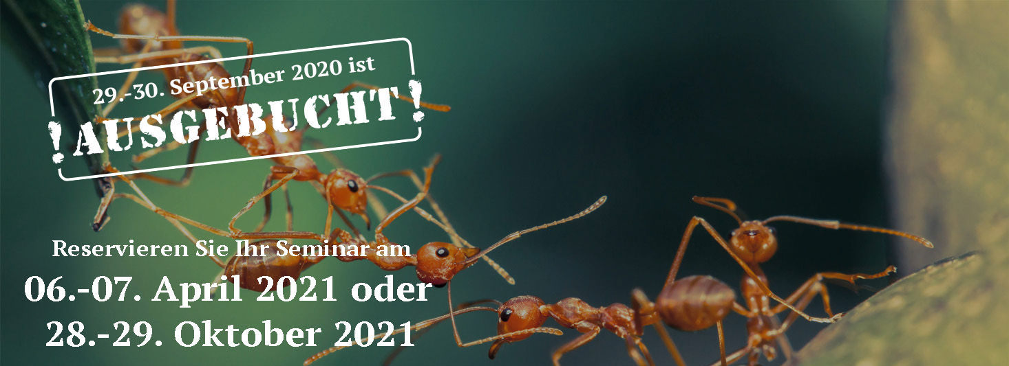 Herausforderung IT heute - von der Strategie zum Projekt