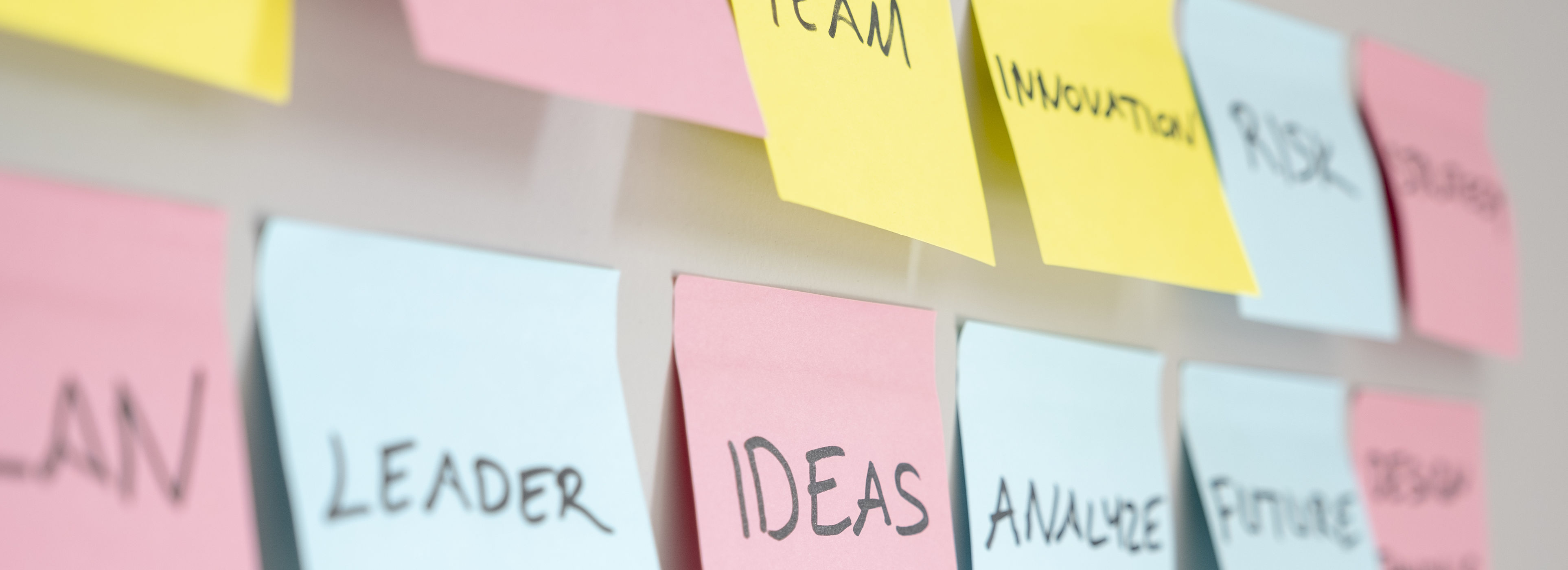 Transformational Leadership: Digitalisierung. Innovation. Wachstum.