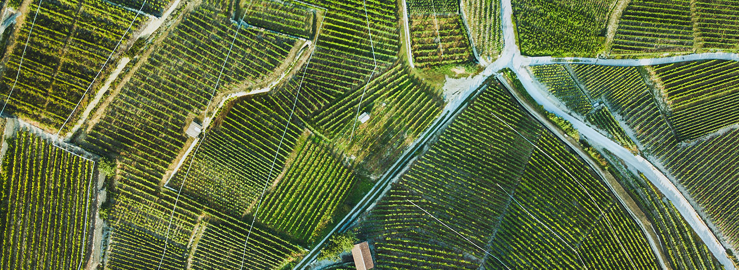 Nextland – Organisation im 21. Jahrhundert